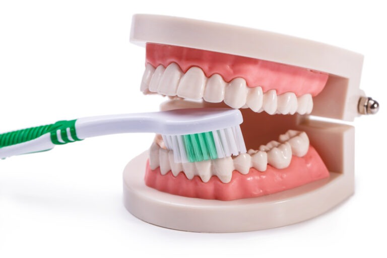 Oral Hygiene in Implant Success: Maintenance and Care Tips for Dental Implants